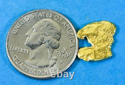 #312 Alaskan BC Natural Gold Nugget 2.41 Grams Genuine