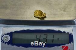 #313 Alaskan BC Natural Gold Nugget 4.31 Grams Genuine