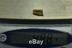#326 Alaskan BC Natural Gold Nugget 4.88 Grams Genuine