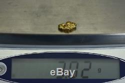 #328 Alaskan-Yukon BC Natural Gold Nugget 3.02 Grams Genuine