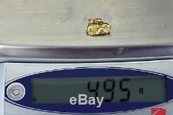 #330 Alaskan-Yukon BC Natural Gold Nugget 4.95 Grams Genuine
