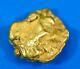 #331 Alaskan Bc Natural Gold Nugget 3.14 Grams Genuine