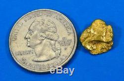 #331 Alaskan BC Natural Gold Nugget 3.14 Grams Genuine