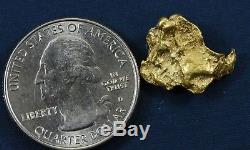 #337 Alaskan-Yukon BC Natural Gold Nugget 3.02 Grams Genuine