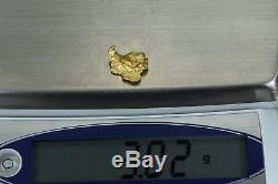 #337 Alaskan-Yukon BC Natural Gold Nugget 3.02 Grams Genuine
