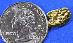 #338 Alaskan-Yukon BC Natural Gold Nugget 3.83 Grams Genuine