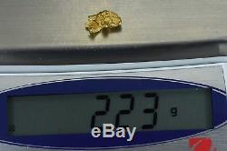#347 Alaskan-Yukon BC Natural Gold Nugget 2.23 Grams Genuine