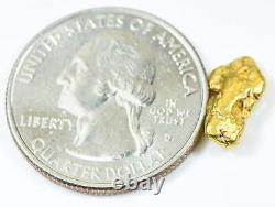 #36 Alaskan BC Natural Gold Nugget 1.84 Grams Genuine