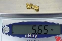 #363 Alaskan BC Natural Gold Nugget 5.65 Grams Genuine