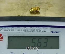 #366 Alaskan BC Natural Gold Nugget 5.63 Grams Genuine