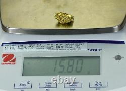 #368 Alaskan BC Natural Gold Nugget 15.80 Grams Genuine
