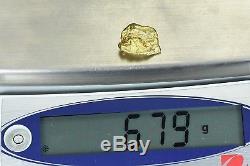 #368 Alaskan BC Natural Gold Nugget 6.79 Grams Genuine