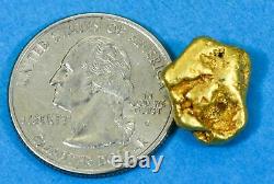 #368 Alaskan BC Natural Gold Nugget 7.17 Grams Genuine-Y