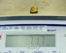 #368 Alaskan BC Natural Gold Nugget 7.17 Grams Genuine-Y