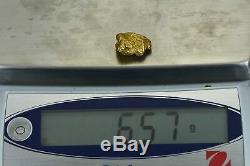 #371 Alaskan BC Natural Gold Nugget 6.57 Grams Genuine