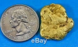 #371-B Alaskan BC Natural Gold Nugget 15.79 Grams Genuine