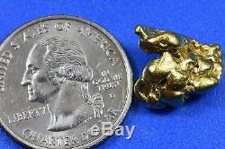 #372 Alaskan BC Natural Gold Nugget 7.17 Grams Genuine