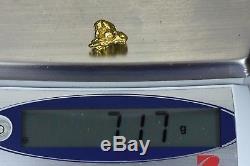 #372 Alaskan BC Natural Gold Nugget 7.17 Grams Genuine