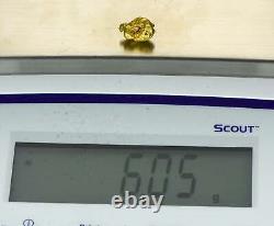 #373 Alaskan BC Natural Gold Nugget 6.05 Grams Genuine