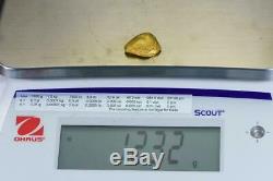 #376A-B Alaskan BC Natural Gold Nugget 12.32 Grams Genuine