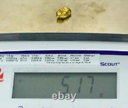 #379 Alaskan BC Natural Gold Nugget 5.17 Grams Genuine