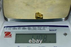 #384 Alaskan BC Natural Gold Nugget 11.08 Grams Genuine