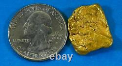 #386 Alaskan BC Natural Gold Nugget 7.77 Grams Genuine