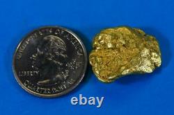 #386A-B Alaskan BC Natural Gold Nugget 17.62 Grams Genuine