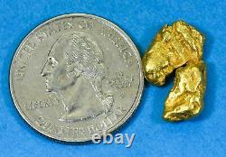 #389 Alaskan BC Natural Gold Nugget 5.18 Grams Genuine