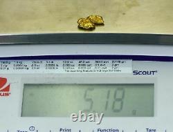#389 Alaskan BC Natural Gold Nugget 5.18 Grams Genuine