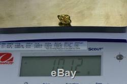 #389A-B Alaskan BC Natural Gold Nugget 10.12 Grams Genuine