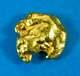 #390 Alaskan Bc Natural Gold Nugget 6.10 Grams Genuine