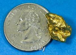 #391 Alaskan BC Natural Gold Nugget 6.89 Grams Genuine