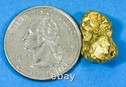 #396 Alaskan BC Natural Gold Nugget 6.94 Grams Genuine