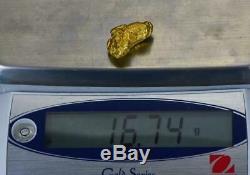 #397 Alaskan BC Natural Gold Nugget 16.74 Grams Genuine