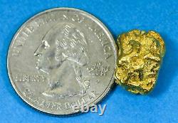 #398 Alaskan BC Natural Gold Nugget 6.90 Grams Genuine