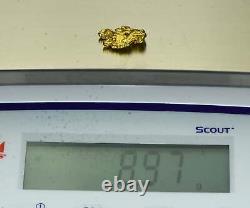 #398 Alaskan BC Natural Gold Nugget 8.97 Grams Genuine