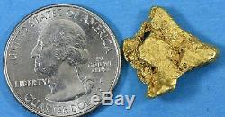 #400 Alaskan BC Natural Gold Nugget 7.67 Grams Genuine