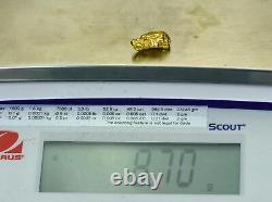 #400 Alaskan BC Natural Gold Nugget 8.70 Grams Genuine