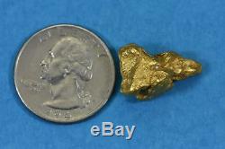 #401 Alaskan BC Natural Gold Nugget 10.75 Grams Genuine