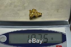 #401 Alaskan BC Natural Gold Nugget 10.75 Grams Genuine