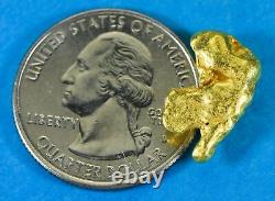 #401 Alaskan BC Natural Gold Nugget 6.00 Grams Genuine