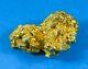 #403 Alaskan Bc Natural Gold Nugget 5.40 Grams Genuine