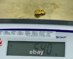 #403 Alaskan BC Natural Gold Nugget 5.40 Grams Genuine