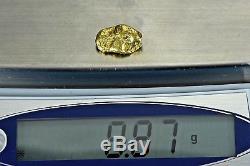 #405 Alaskan BC Natural Gold Nugget 8.87 Grams Genuine