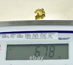 #406 Alaskan BC Natural Gold Nugget 6.78 Grams Genuine