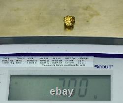 #408 Alaskan BC Natural Gold Nugget 7.00 Grams Genuine