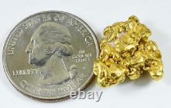 #409 Alaskan BC Natural Gold Nugget 9.21 Grams Genuine
