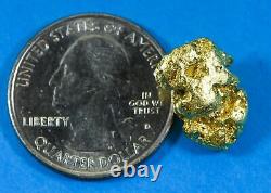 #410 Alaskan BC Natural Gold Nugget 6.98 Grams Genuine
