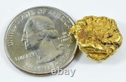 #410 Alaskan BC Natural Gold Nugget 7.59 Grams Genuine